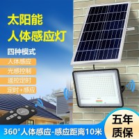 太阳能灯 新农村led家用庭院灯防水户外照明路灯超亮一拖二投光灯