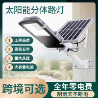 太阳能分体路灯家用户外灯大功率led庭院灯新农村全自动照明路灯