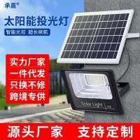 惠民工程300太阳能灯户外庭院灯防水投光灯新农村led路灯厂家直销