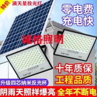 跨境热卖庭院LED东南亚太阳能投光灯新款太阳能灯满天星款投光灯