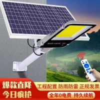 太阳能照明灯庭院灯防水大功率路灯智能光控家用 LED户外农村院子