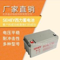 SEHEY蓄电池NPG12-100 12v100ah免维护铅酸阀控密封式西力蓄电池