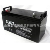 SEHEY蓄电池NP100-12 12v100ah 西力SH100-12 UPS电源 NPG100-12