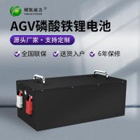 厂家直销48V100AH锂电池AGV车高尔夫球巡逻车机器人户外移动电源