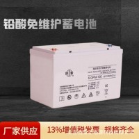 双登蓄电池6-GFM-100免维护铅酸ups直流屏12V100Ah蓄电池