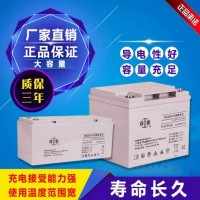 铅碳蓄电池12V65AH 双登铅酸免维护蓄电池 设计寿命15年