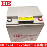 HE 12V24AH蓄电池12V24A电瓶铅酸免维护太阳能消防UPS电池(立式)