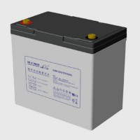 理士蓄电池DJM1255S 12V55AH直流屏应急消防监控通信UPS电源EPS