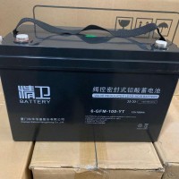 科华精卫6-GFM-100-YT12V100AH65AH38AH24AH消防直流屏UPS蓄电池