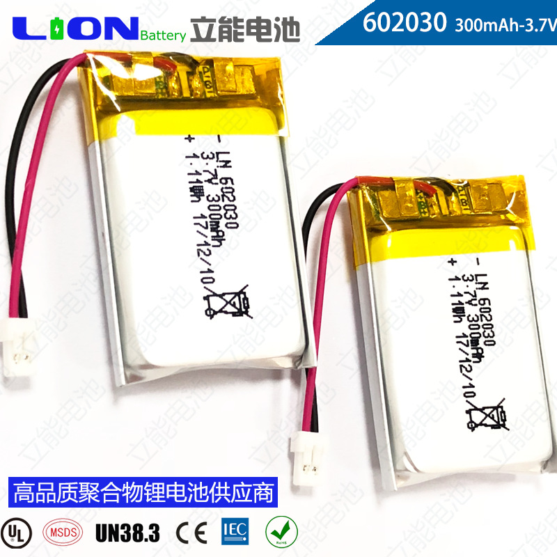 602030--300mAh-10