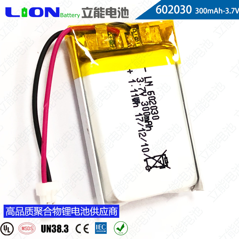 602030--300mAh-8