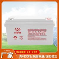 阀控式免维护蓄电池 12V65AH直流屏UPS电源 厂家供应应急电源