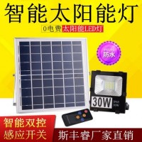 led太阳能灯新农村户外100W家用室内外大功率庭院灯乡村照明路灯