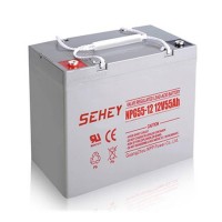 SEHEY西力蓄电池12V100AH免维护太阳能胶体蓄电池UPS不间断电源