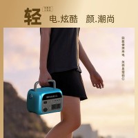 220V户外电源大容量储能露营300W600W英美日欧规110 V应急移动电源