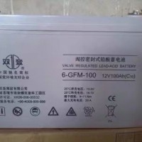 双登蓄电池12V100AH 阀控式铅酸蓄电池 双登电池6-GFM-100 计算机