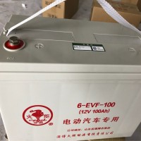 火炬动力蓄电池6-EVF-100/12V100AH观光车/洗地机/电动汽车专用