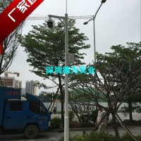 南宁不锈钢监控立杆崇左贺州桂林柳州小区道路不锈钢摄像机支架