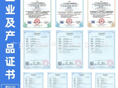 21款单相4位 户外防水费控塑料电表箱 南网电力 厂家直销批发图4